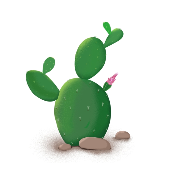 仙人掌植物石头绿色手绘插画风元素