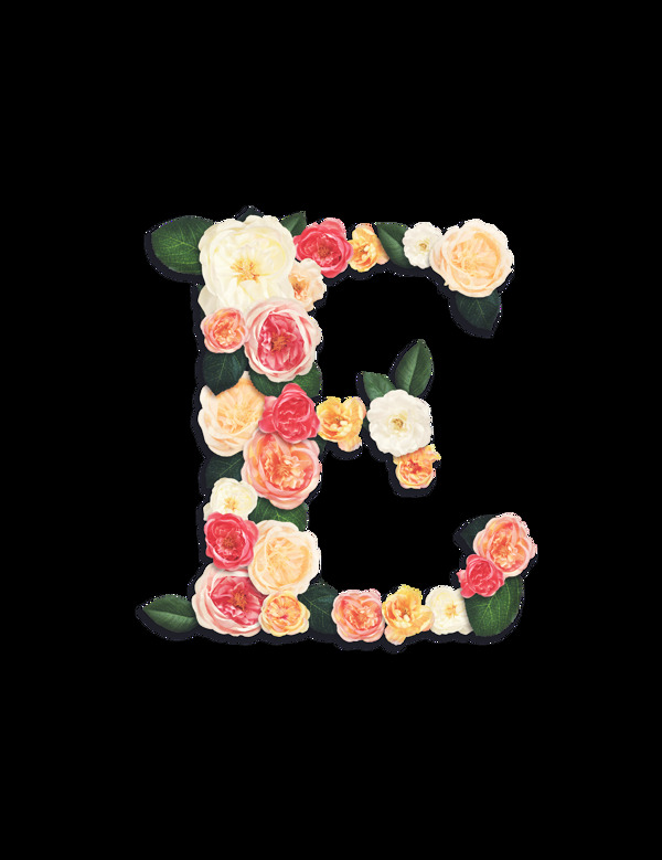 花卉植物英文字母元素