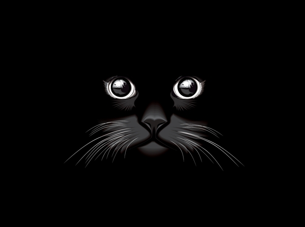矢量手绘猫咪黑猫插画