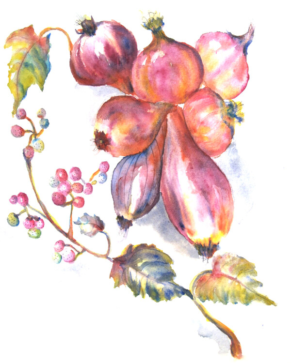 位图植物写意花卉花朵水果免费素材