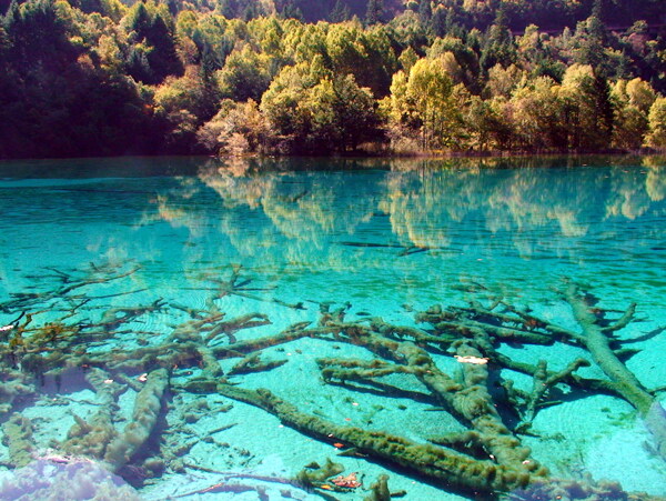 九寨沟水