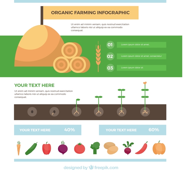 柔和的色调平的有机infography