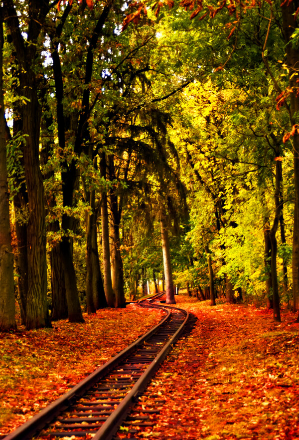 秋天铁路图片