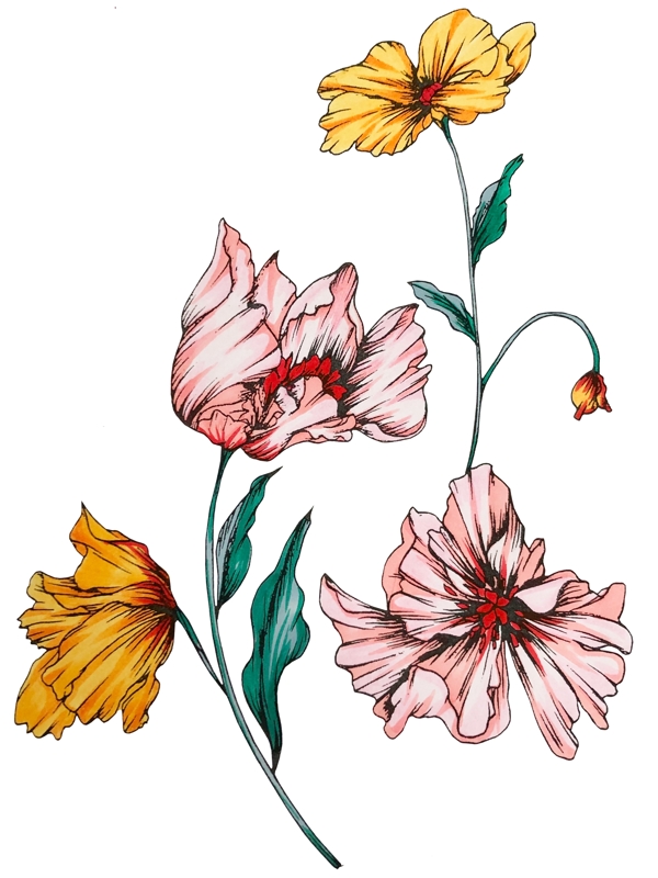 原创插画水彩手绘花卉植物素材