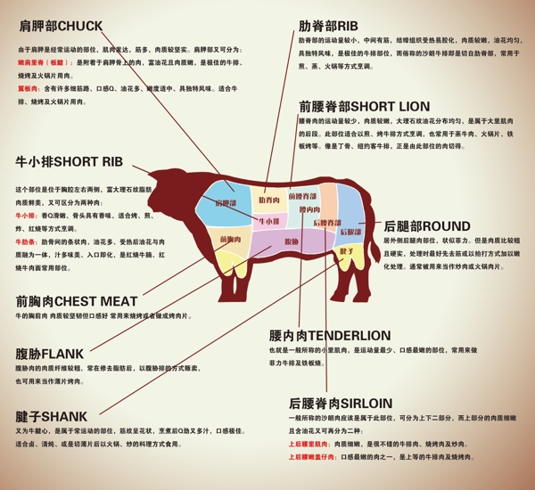 牛肉分类图片