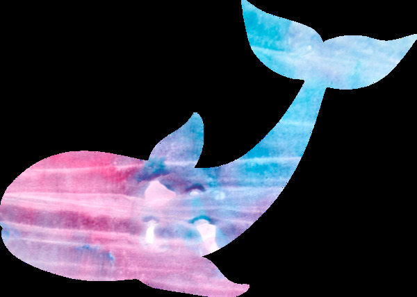 彩色鲸鱼png透明素材