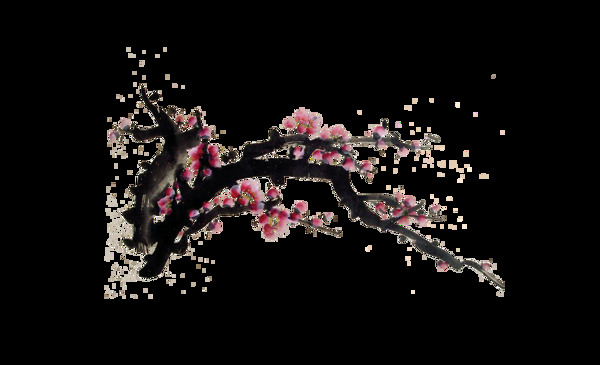 中国风水墨画梅花腊梅树枝装饰PNG素材