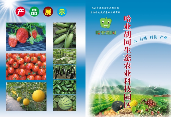 生态农业封面图片