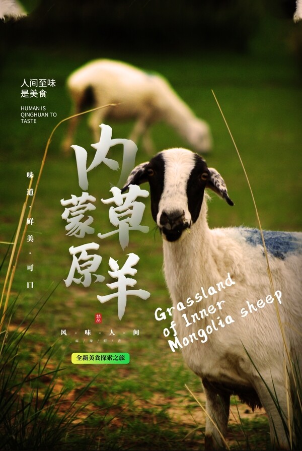 内蒙草原羊食材活动海报素材图片