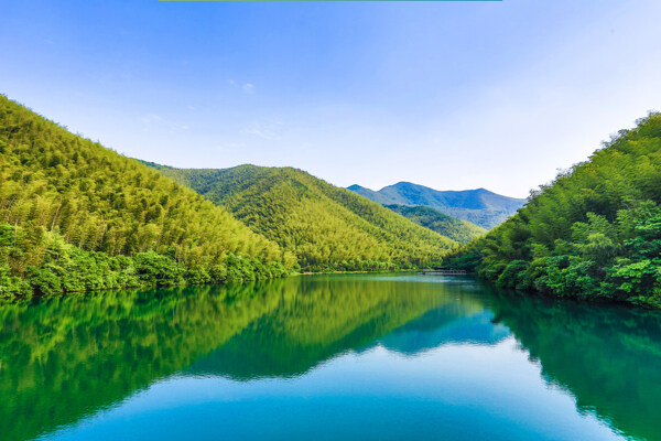 南山竹海摄影图片