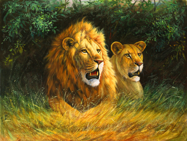 草地上的狮子和豹图片