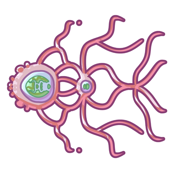 大肠杆菌细菌插画