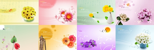 鲜花系列图片