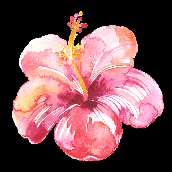 彩绘粉色花朵高清素材