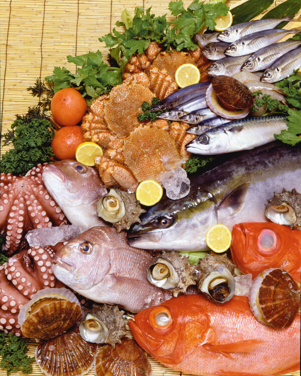 日本料理鲜鱼合集鲷金枪鱼