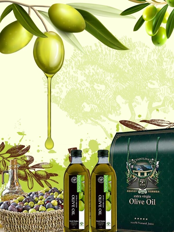 橄榄油包装广告海报图片