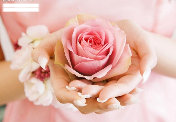 情人节芳香粉红玫瑰茉莉花环少女双手图片