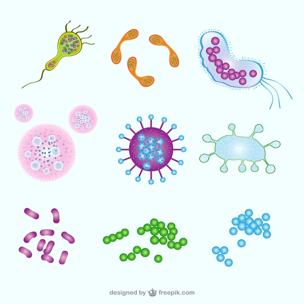微生物插图