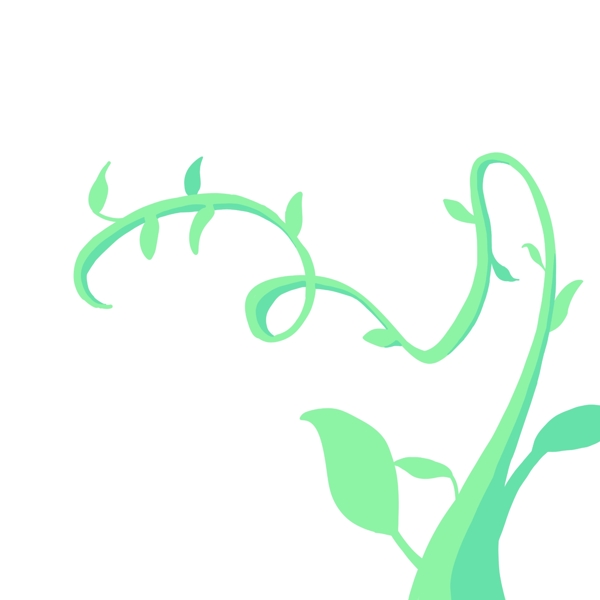 植物藤蔓枝蔓插画