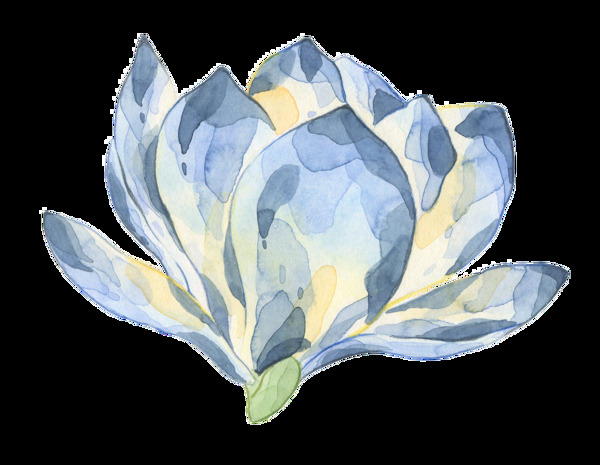 蓝色莲花透明装饰图案