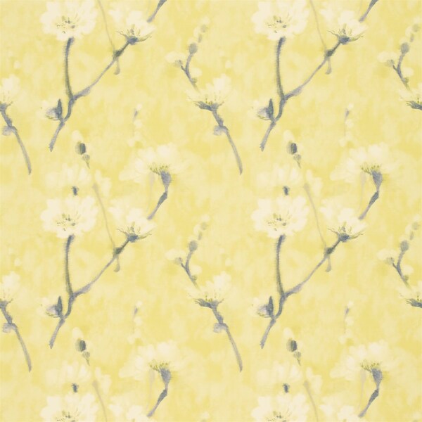 黄色花朵图案壁纸