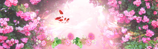 粉色花朵banner背景图