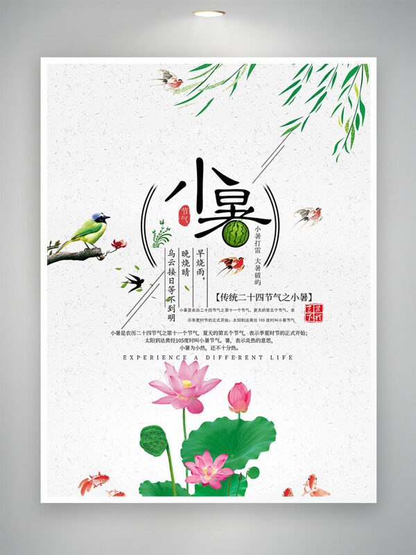 传统二十四节气之小暑荷花插画海报