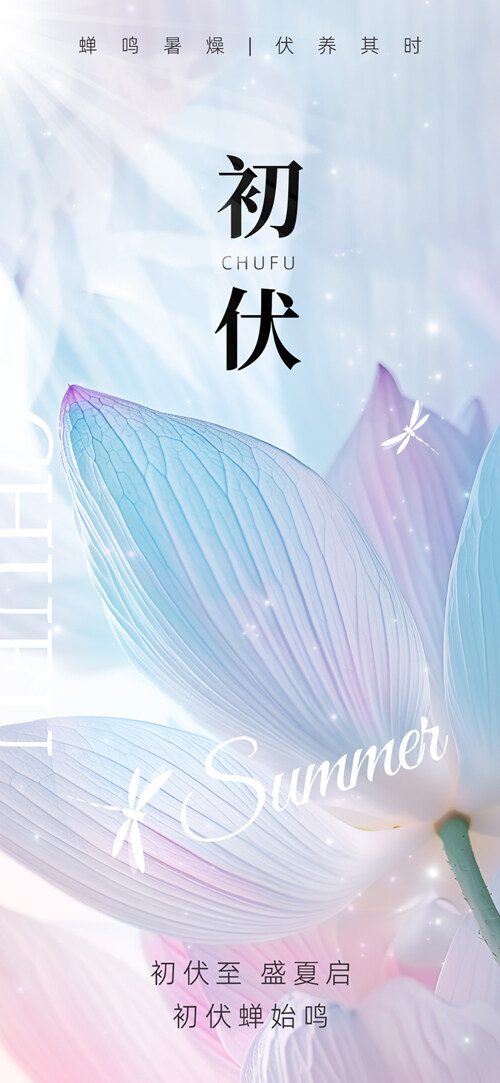 清新文艺简约三伏天初伏荷叶插画创意海报