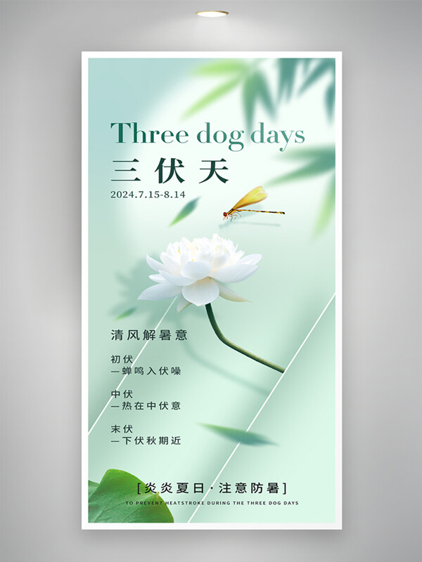 清新简约三伏天防暑白色荷花创意海报