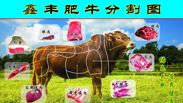 牛分割图图片