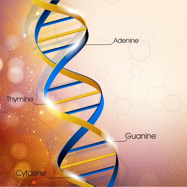 精美立体的基因链背景素材