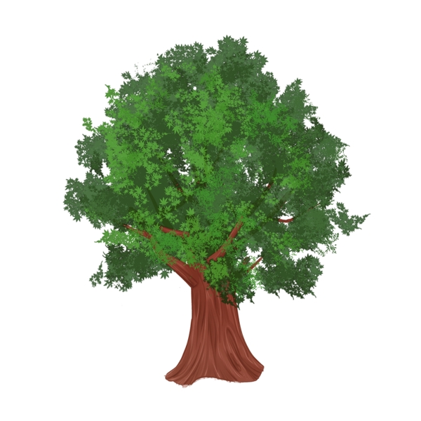 植树节大树绿色深绿色植物手绘写实插图PNG免抠