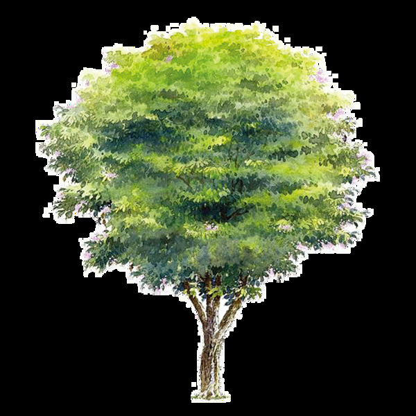绿树装饰图案