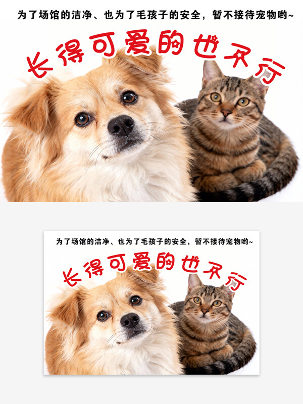 可爱猫狗形象禁止宠物入内标识