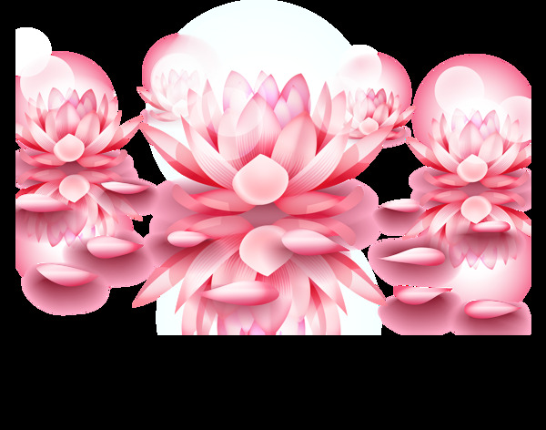 各种粉红荷花莲花免抠png透明图层素材
