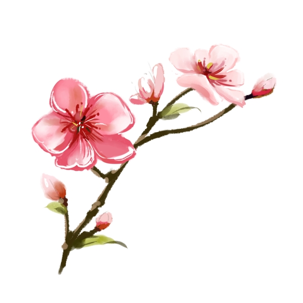 粉色春季桃花花朵花枝花苞手绘文艺