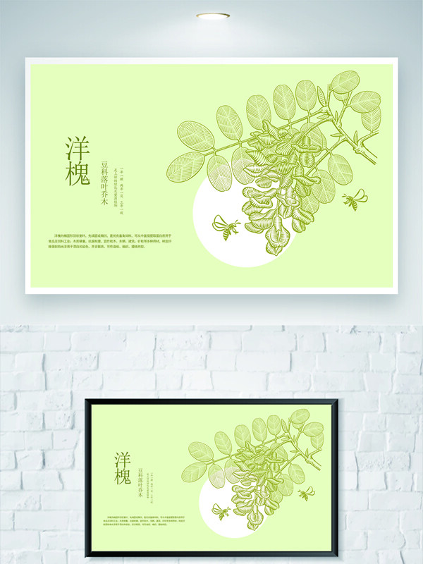 绿色背景植物洋槐艺术绘图海报
