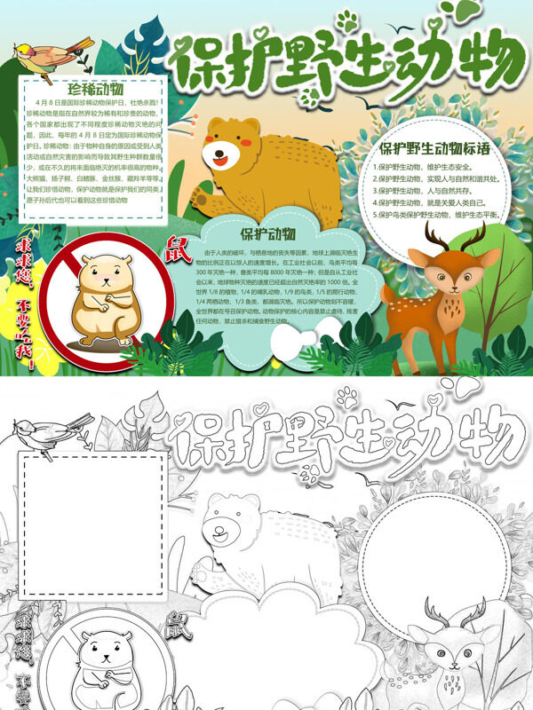 保护野生动物珍稀动物保护手抄报