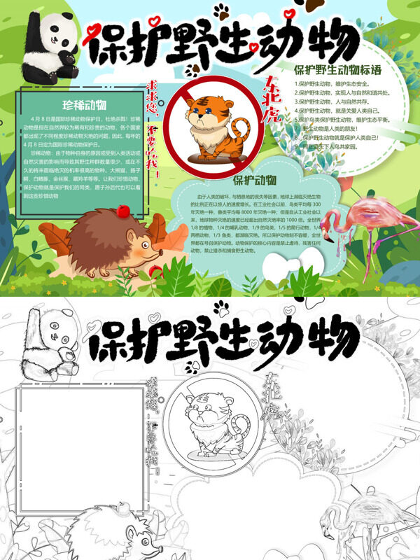 精美保护野生动物珍稀动物保护手抄报