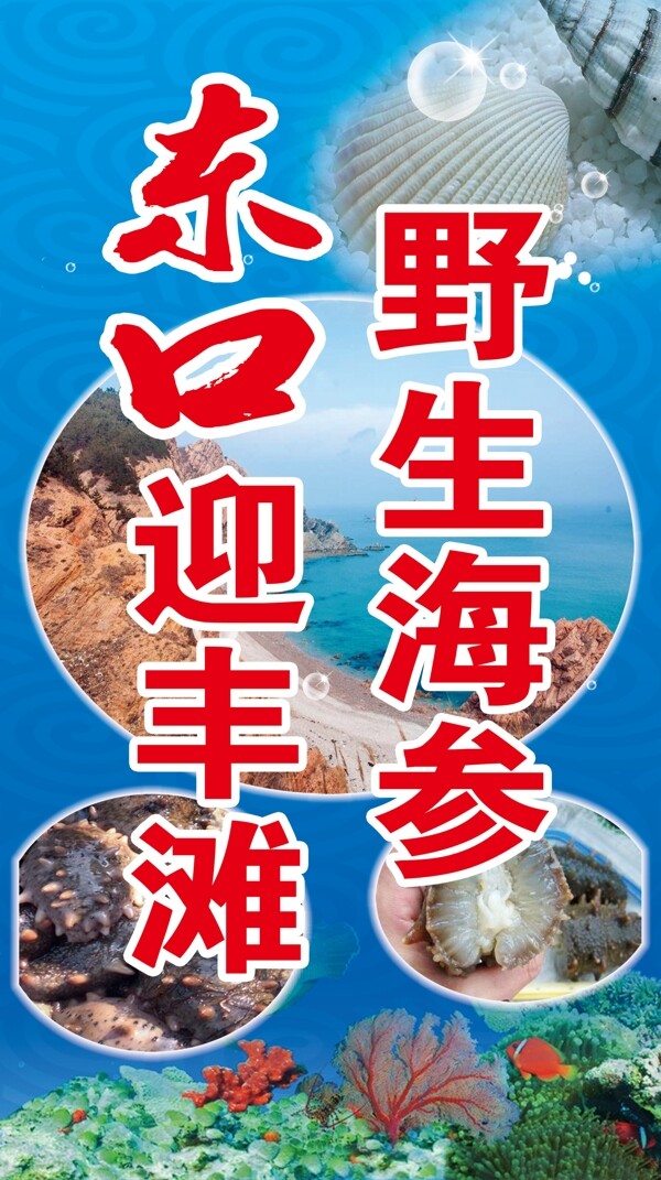 海参灯箱设计