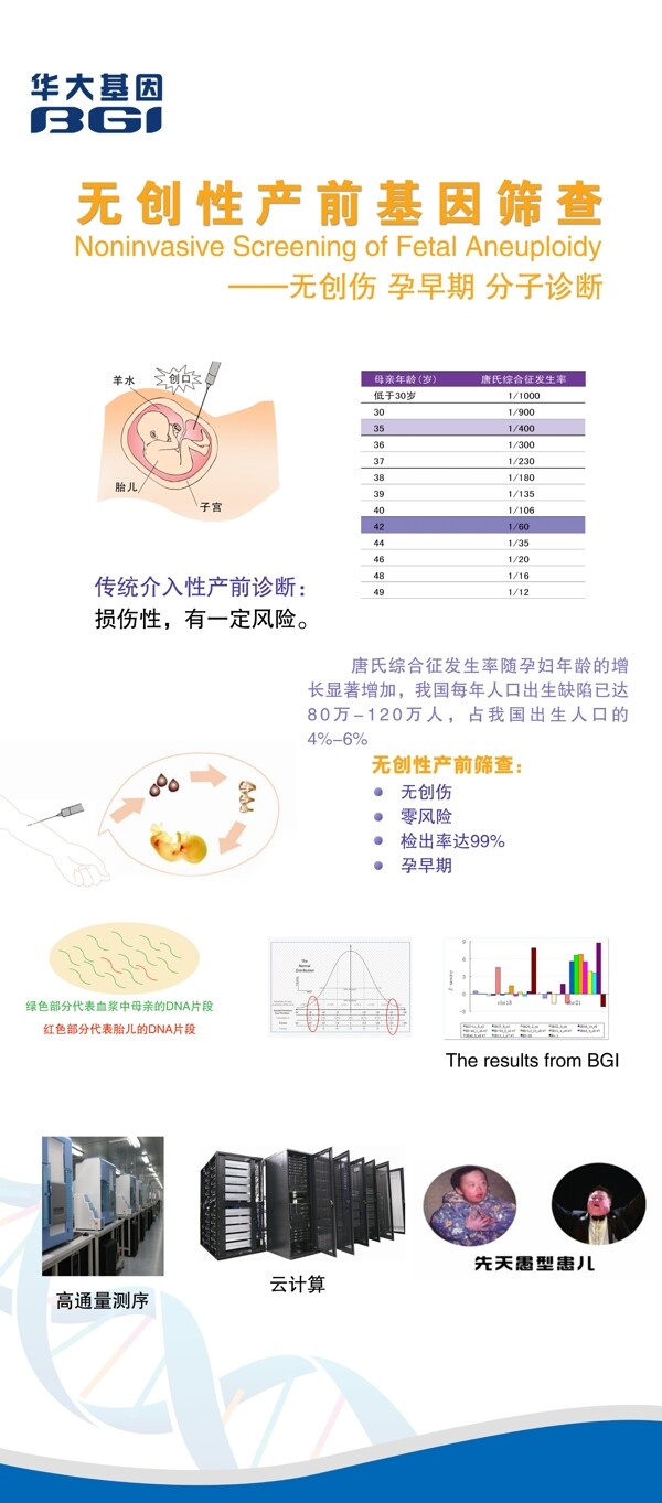 华大基因产前基因筛查X展架图片