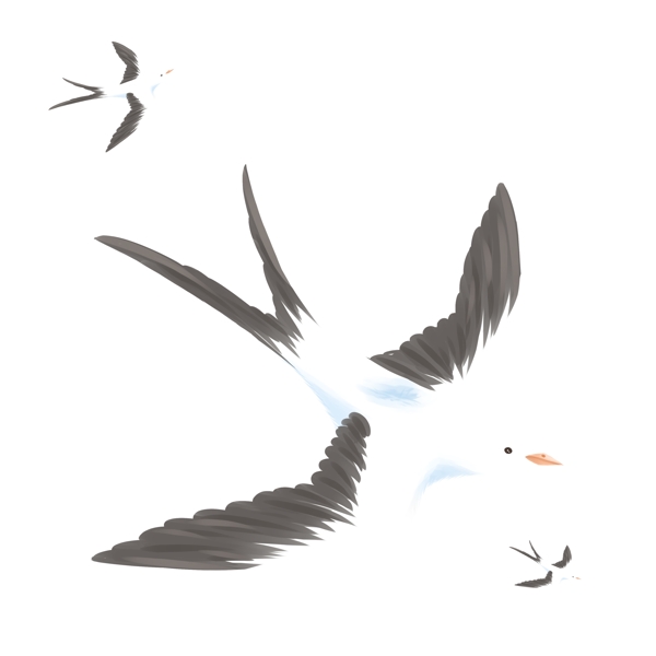 手绘飞鸟动物卡通透明素材