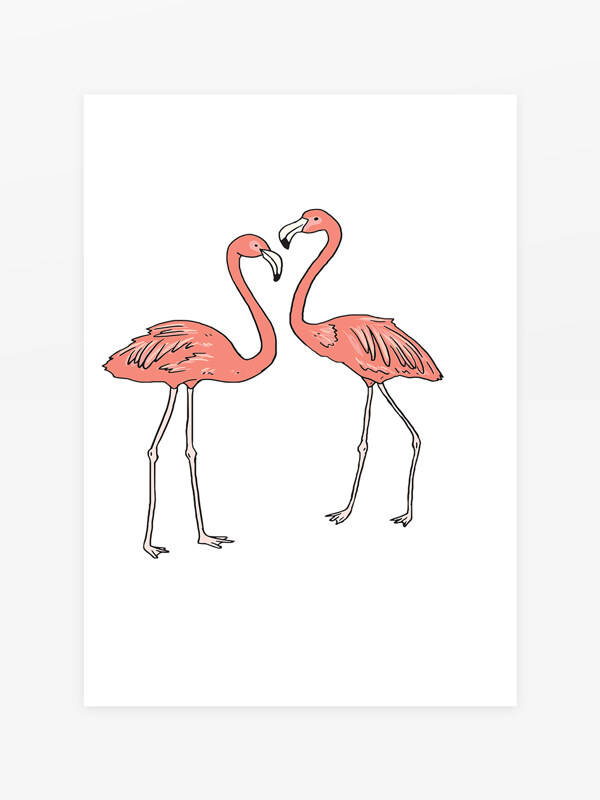 粉红色爱情鸟图片