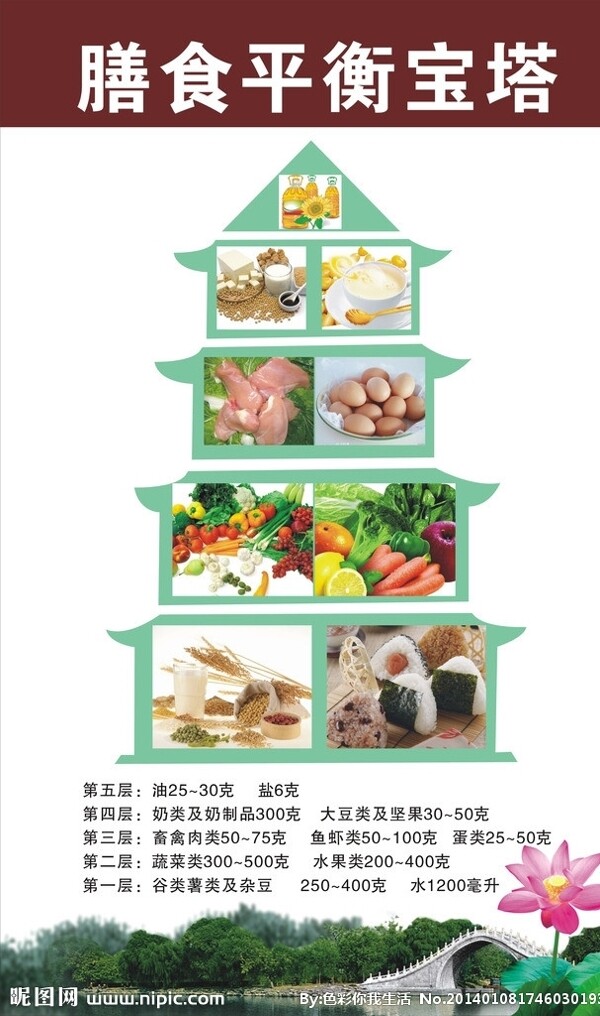 膳食平衡宝塔图片