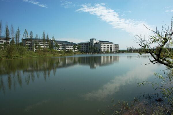 重庆大学图片