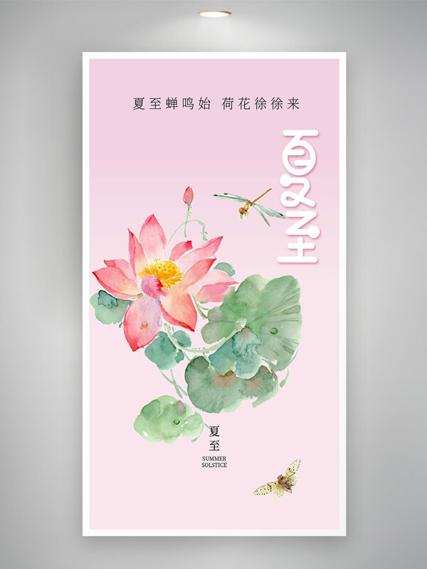 夏至节气节日宣传粉色荷花海报
