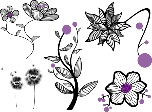 蒲公英花的设计元素图背景