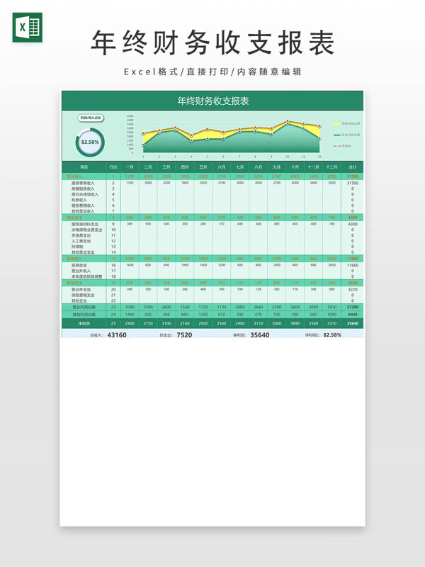 年度财务收支汇总表
